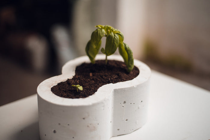 3D printed flower pots – Making your own